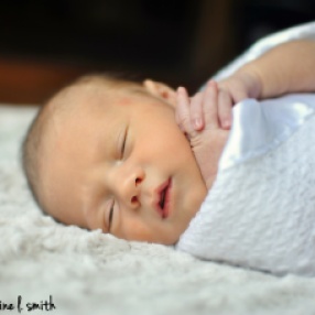 Lorain County Newborn Photography