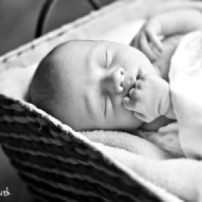 Lorain County Newborn Photography