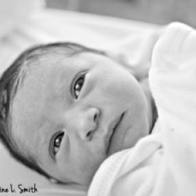 Lorain County Birth Photography, Birth Photography Cleveland